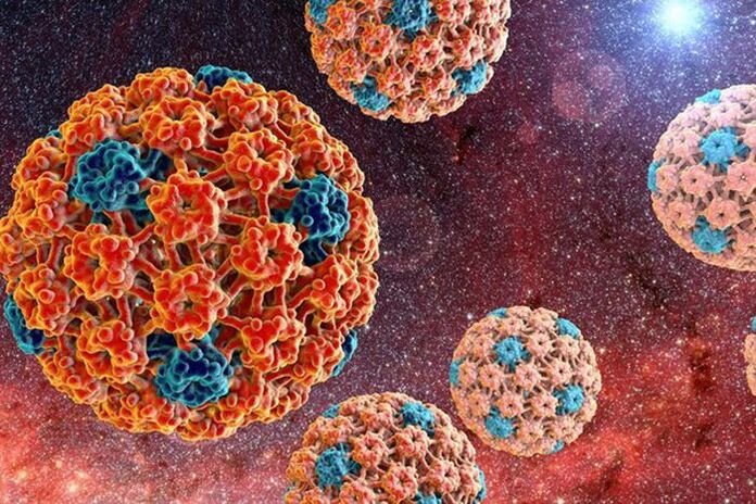 hoe wordt het humaan papillomavirus overgedragen 