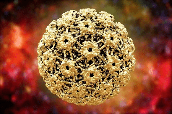 Human Papilloma -virus
